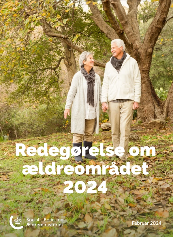 Publikationens forside