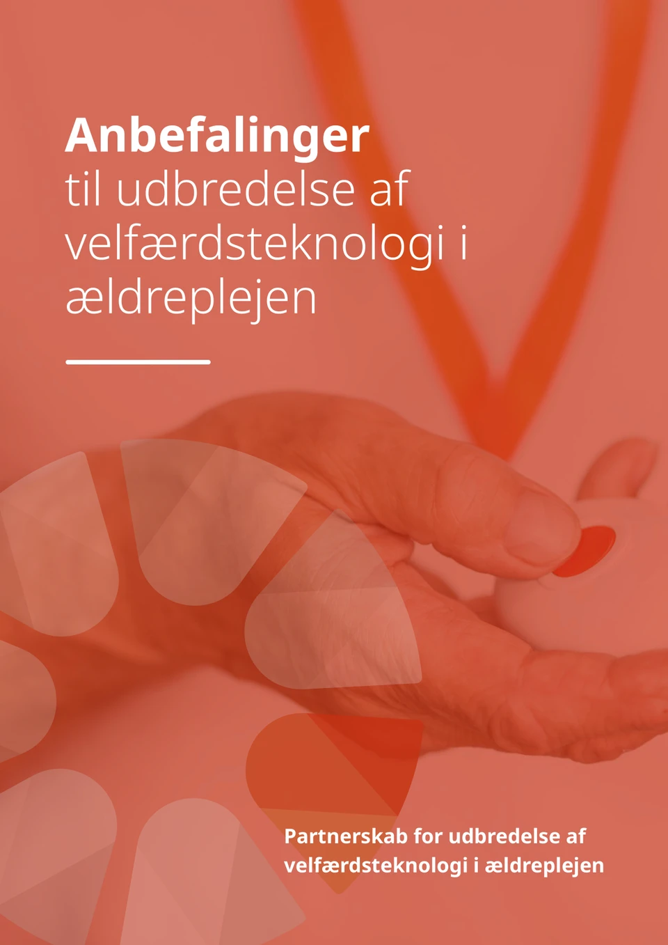 Publikationens forside